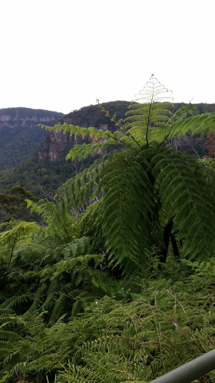 20160102_161141.jpg image