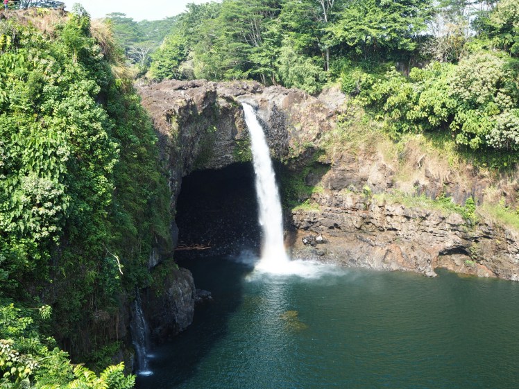 wp-1458316262279 image