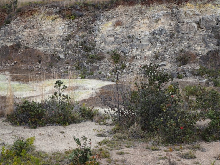 wp-1458316375030 image