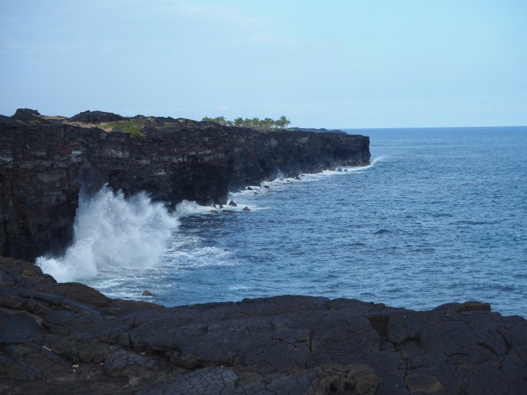 wp-1458316639565 image