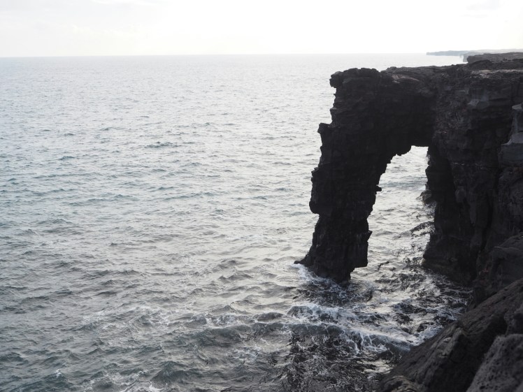 wp-1458316665165 image