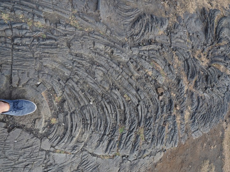 wp-1458316677971 image